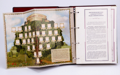 Родословная книга "Золоченое древо"