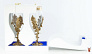 Набор из 2-х бокалов для шампанского