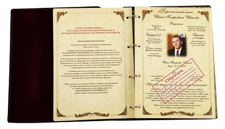 Родословная книга "Гербовая" с литым дворянским гербом