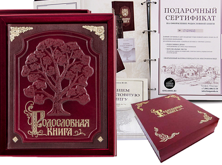 Родословная книга в кожаной обложке (в футляре с бархатным ложементом)