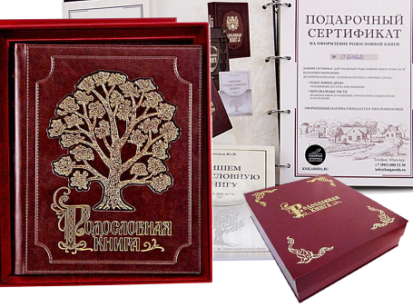 Родословная книга в футляре с бархатным ложементом