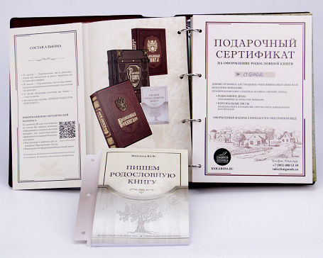 Родословная книга "Семейный альбом"